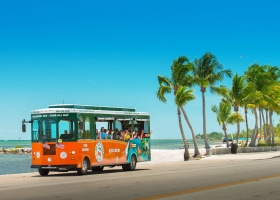 Tour Đà Nẵng - Sơn Trà - Rừng Dừa Bảy Mẫu - Hội An - Bà Nà 3N2Đ