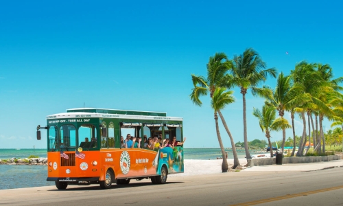 Tour Đà Nẵng - Sơn Trà - Rừng Dừa Bảy Mẫu - Hội An - Bà Nà 3N2Đ